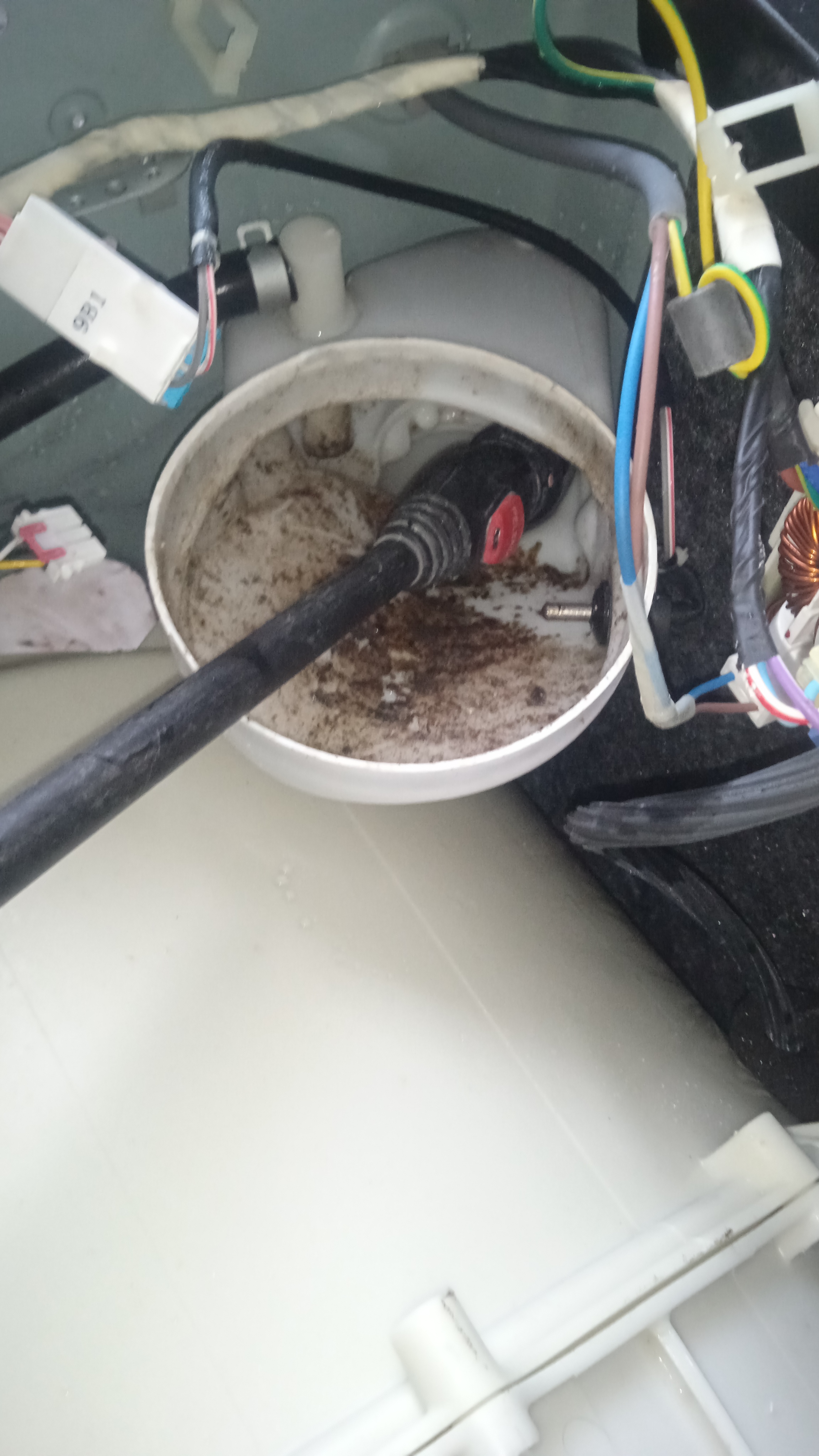 Limpieza profunda con hidrolavadora